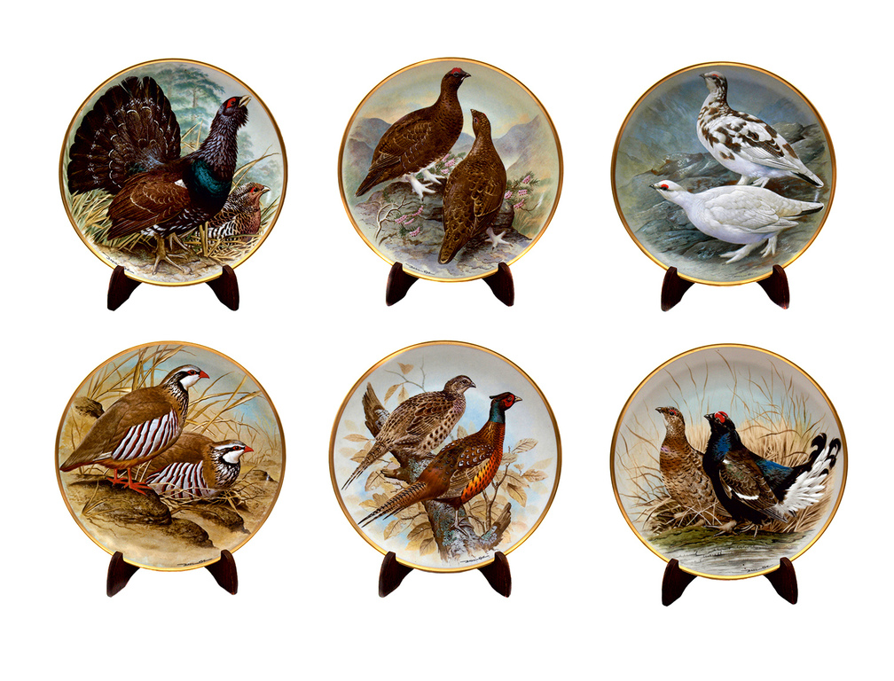 Porcelain plate set World birds, 6 pcs