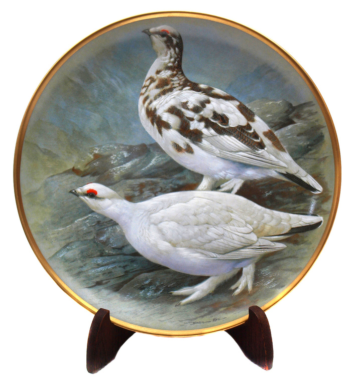 Porcelāna šķīvju komplekts Pasaules putni, 6 gab