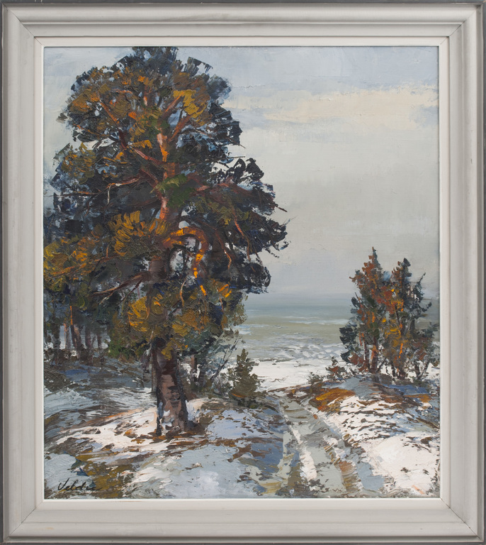 Landscape with pine