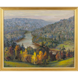 Landscape with river and forest