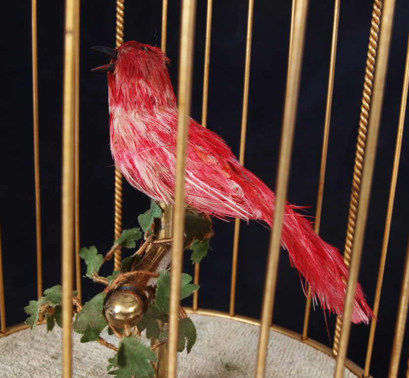 Dekoratīvs putnu būrītis ar dziedošu putniņu