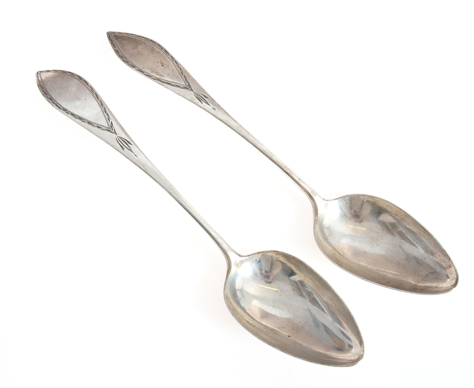 Silver spoon's (2 piec.)