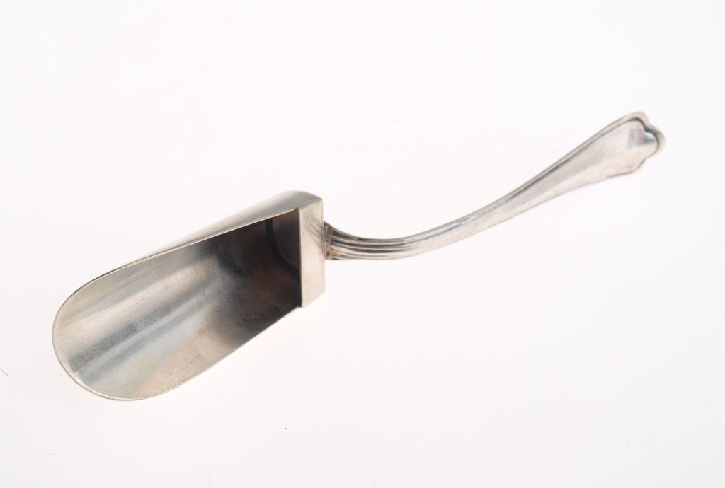 Silver spoon for spices