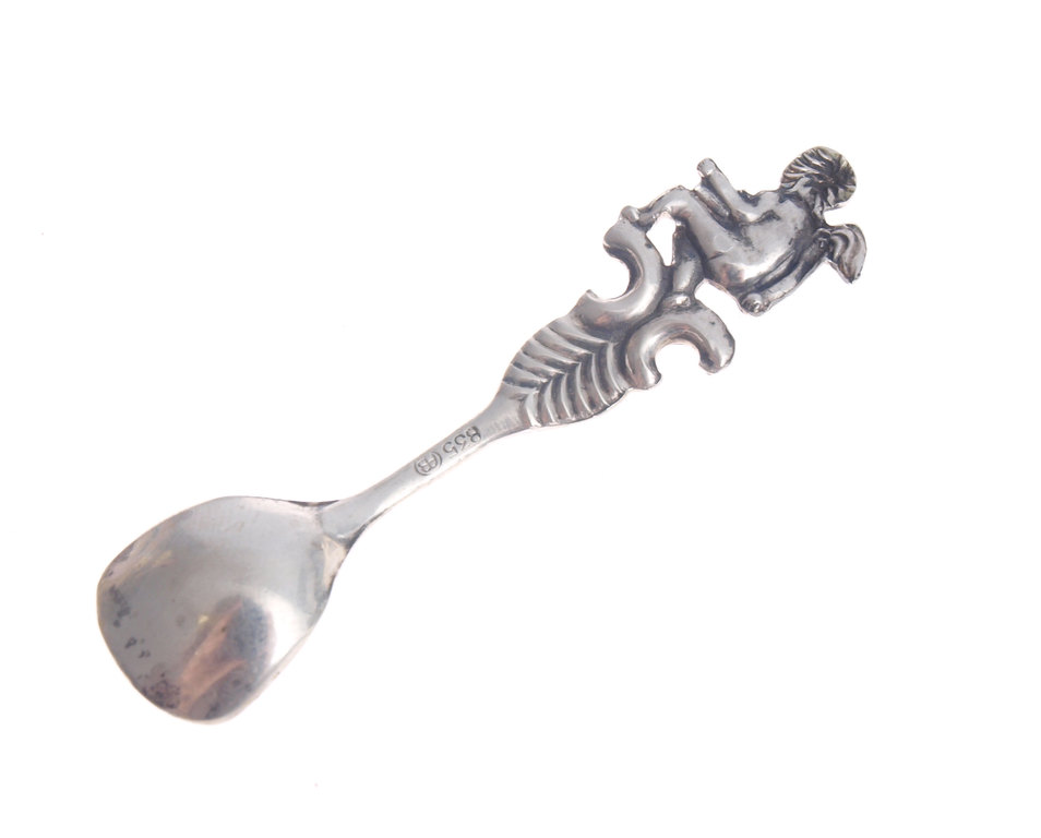 Silver spoon for spices 