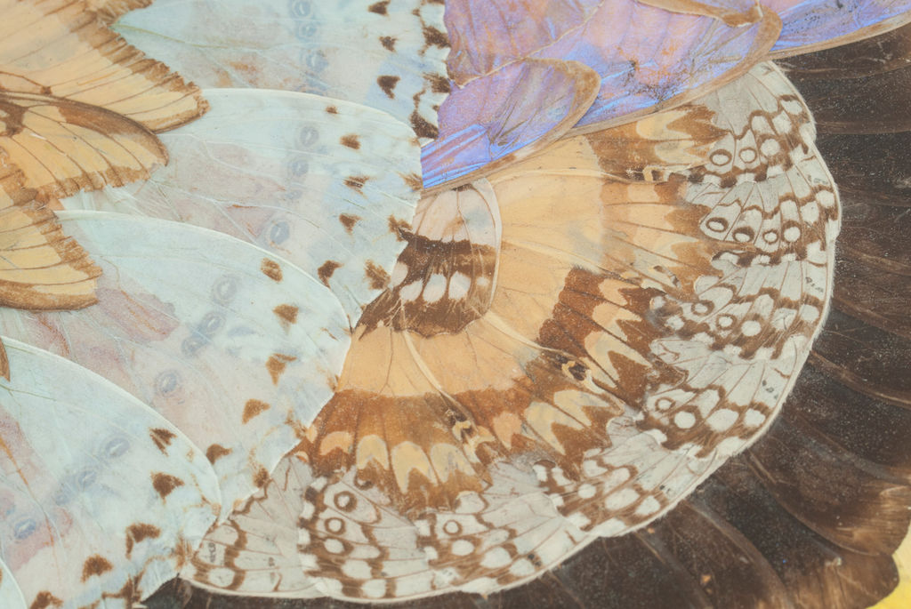 Журнальный столик с крыльями бабочки