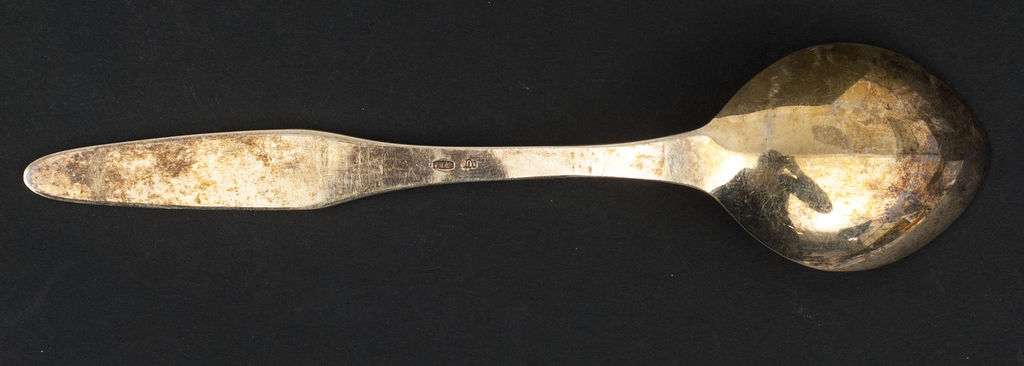 Silver spoon set (5 piec.)
