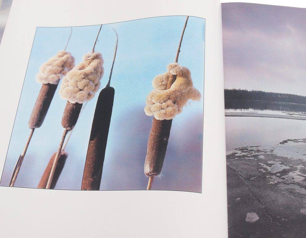 Book, photo and three post cards with J. Thallberg's photo