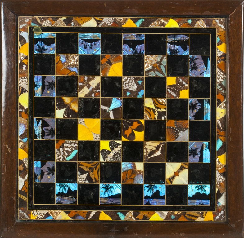 Chess surface with butterfly wings
