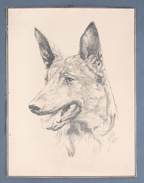 Tusas zīmējums Suns