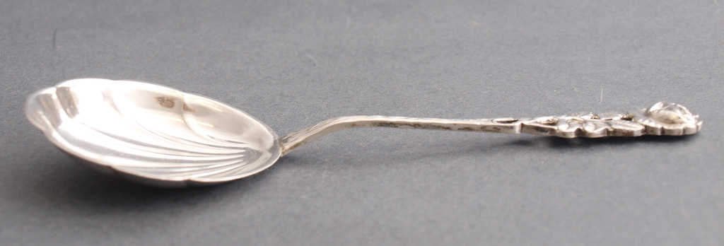 Silver spoon for dessert