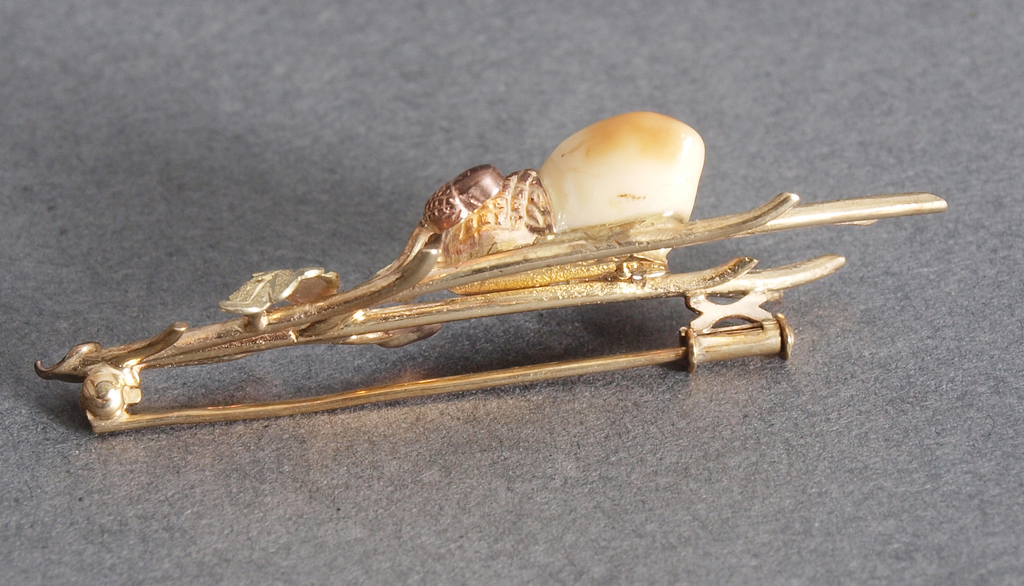 Golden brooch with bone