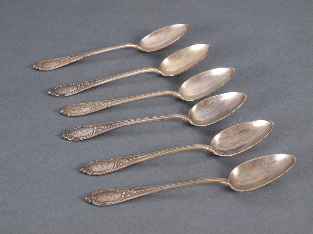 Set of silver spoons in the box (6 pcs.)