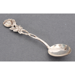 Silver spoon for spices