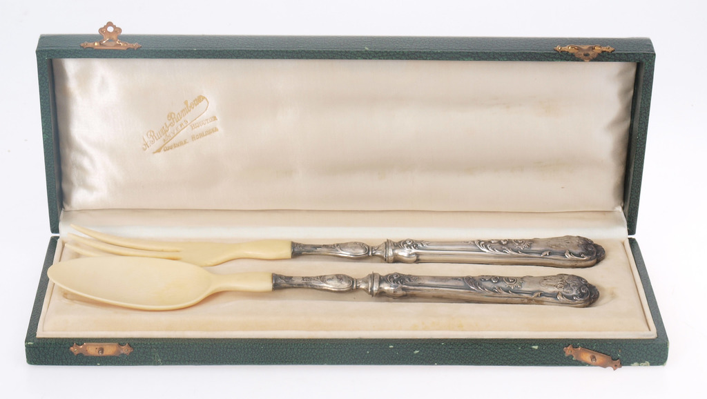 Set - knife and fork with bone