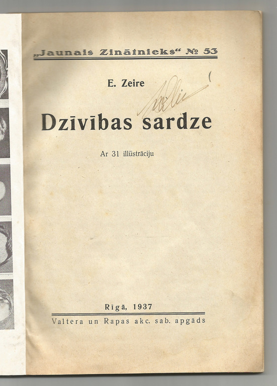 E.Zeire 