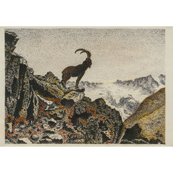 Landscape with goat