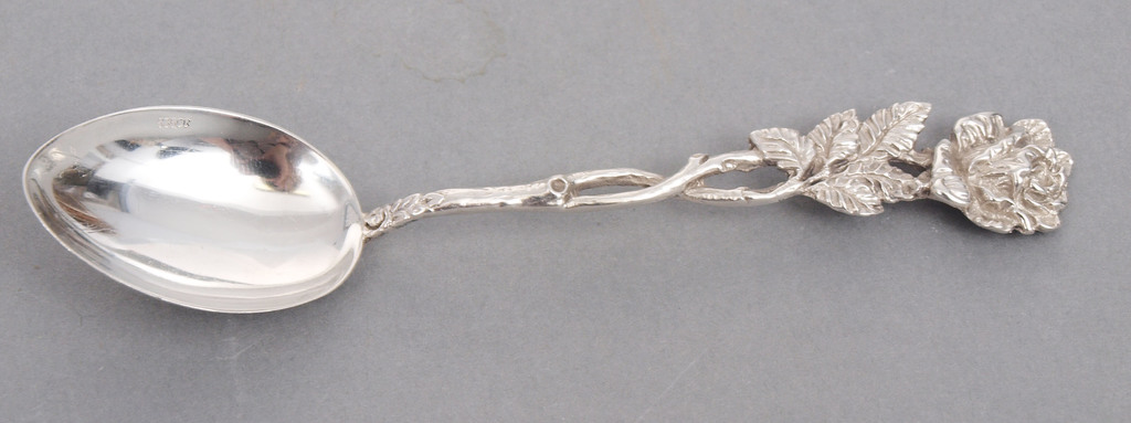 Silver spice utensil with spoon