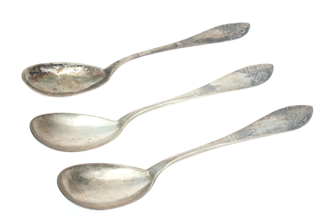 Silver Silver dessert spoons (3 pcs.)