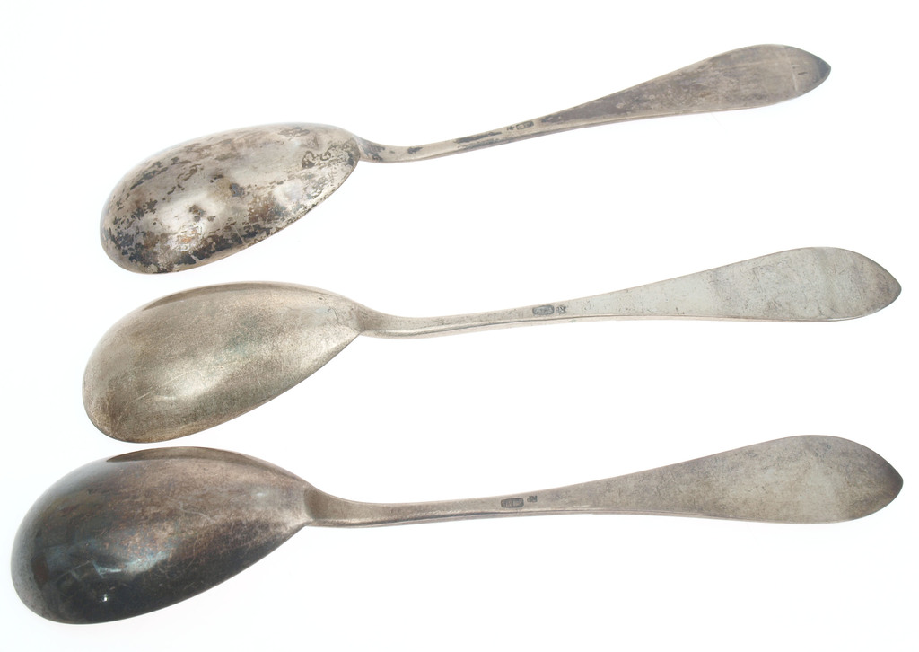 Silver Silver dessert spoons (3 pcs.)