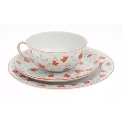 Porcelain cup with 2 saucers 