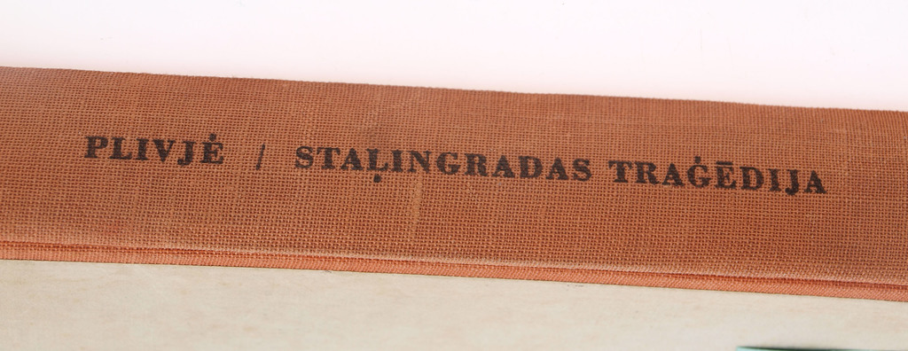 Stalingrad tragedy(novel), Teodors Plivjē