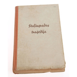Stalingrad tragedy(novel), Teodors Plivjē