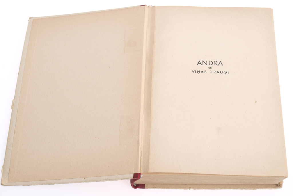 Андра и ее друзья(Книга для молодых людей)