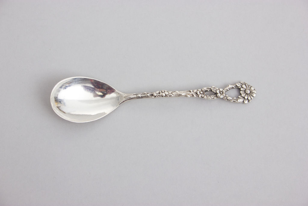 Silver spoon 