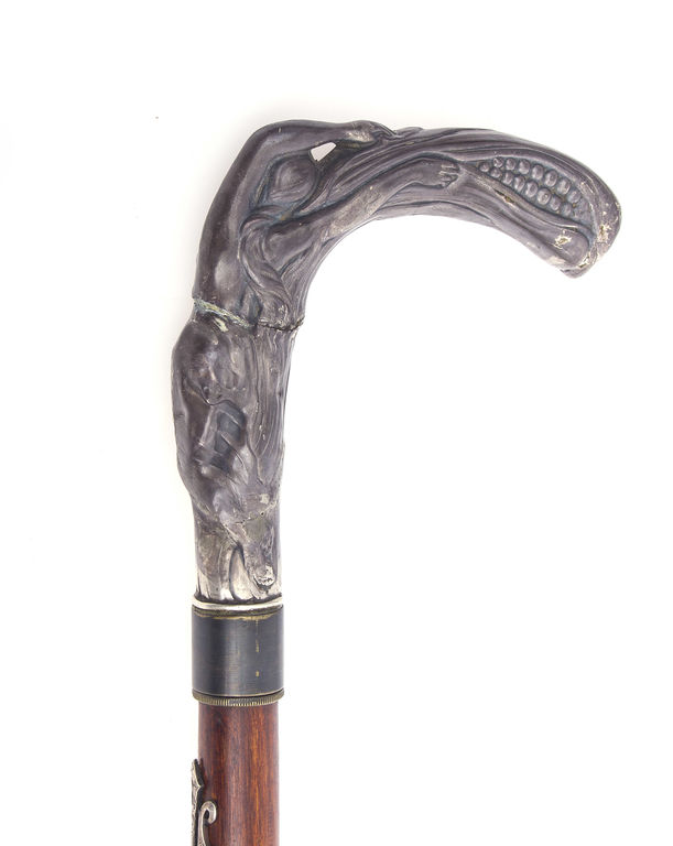Walking stick with a silver finish
