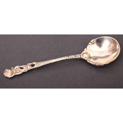 Silver spoon for dessert