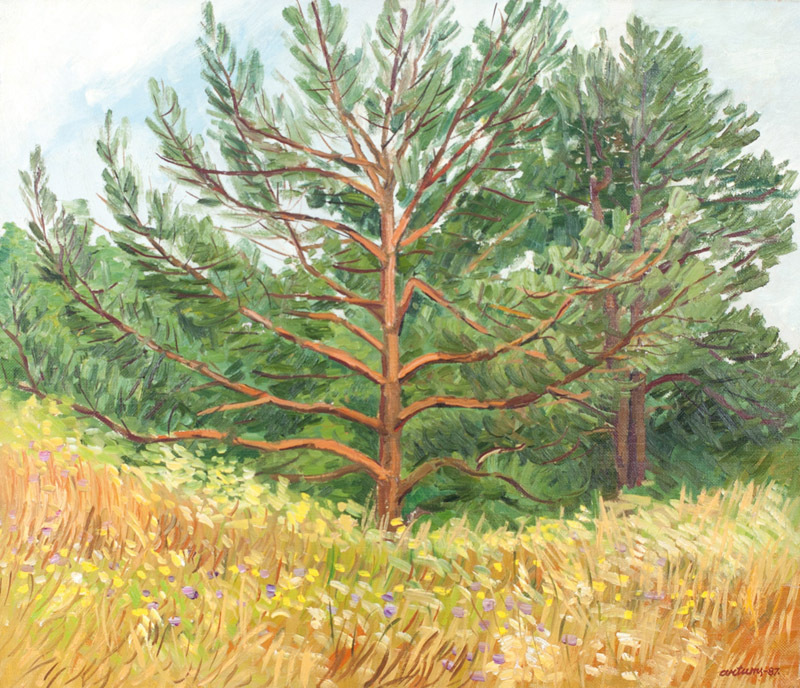 Pine grove
