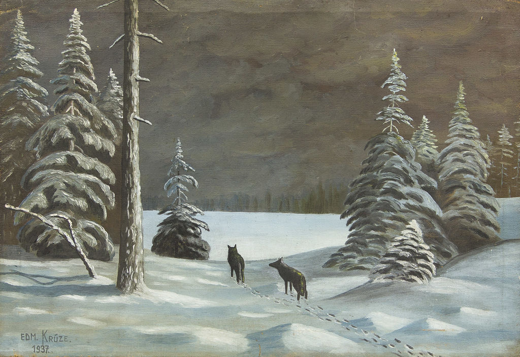 Wolves in winter