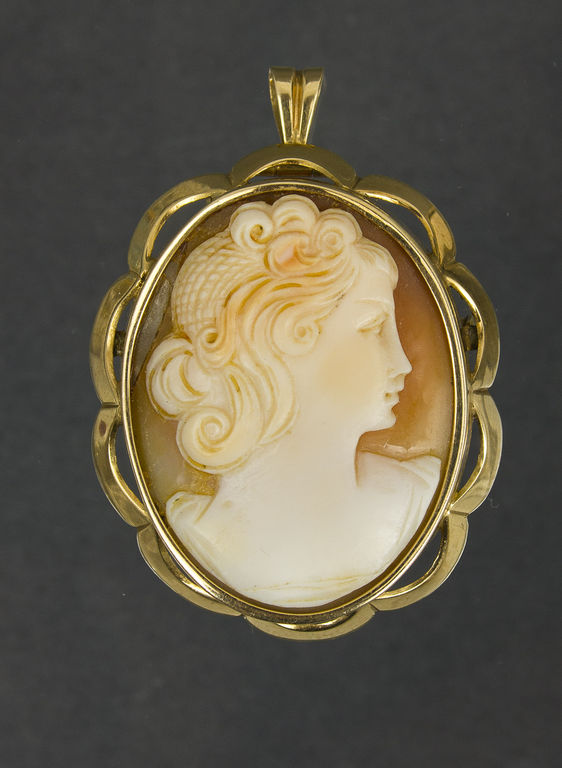Cameo in the golden frame
