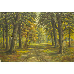 The road in the woods