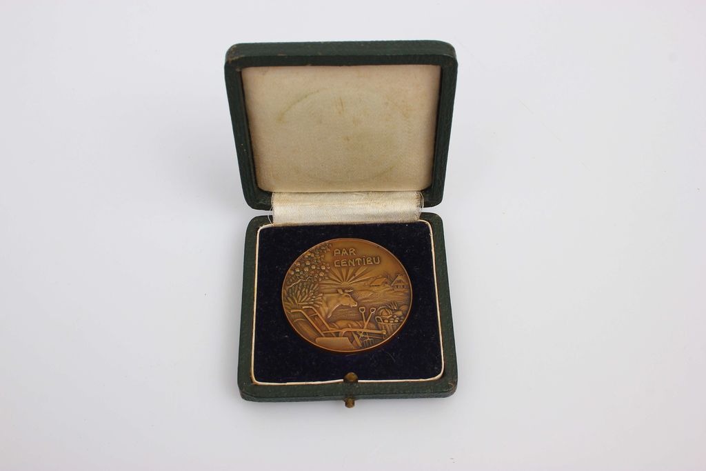 Award Medal in the original box 
