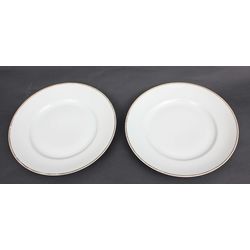 Porcelain plates 2 pcs