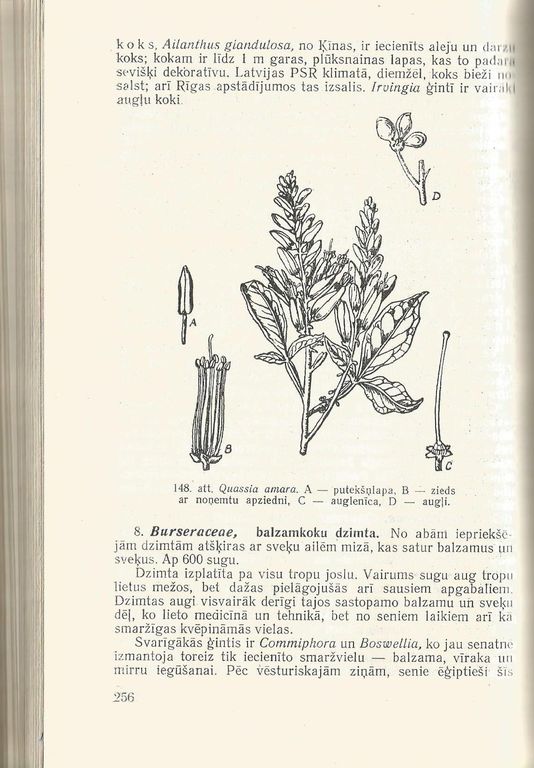 P.Galenieks, Plant systematics