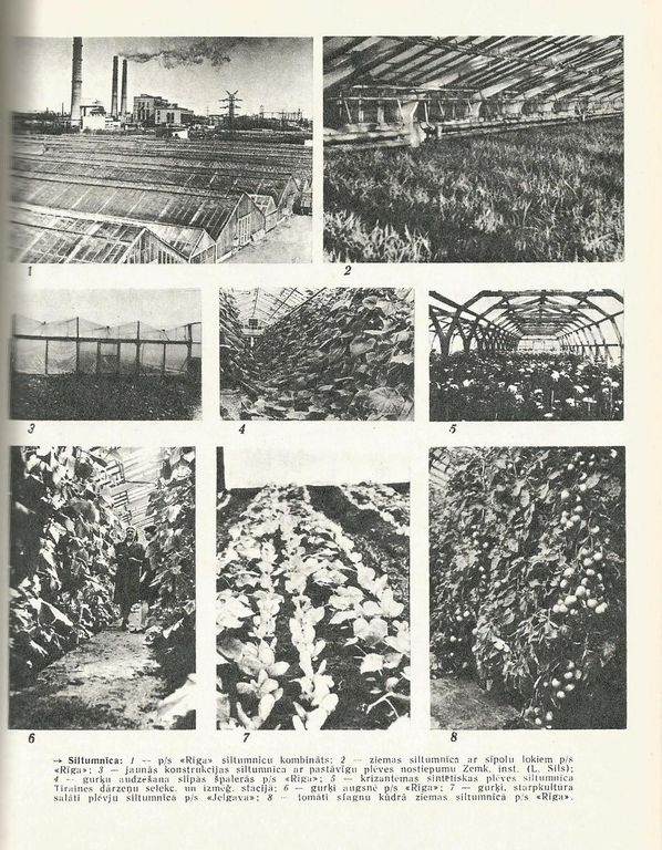 Lauksaimniecības enciklopēdija 4 sējumi