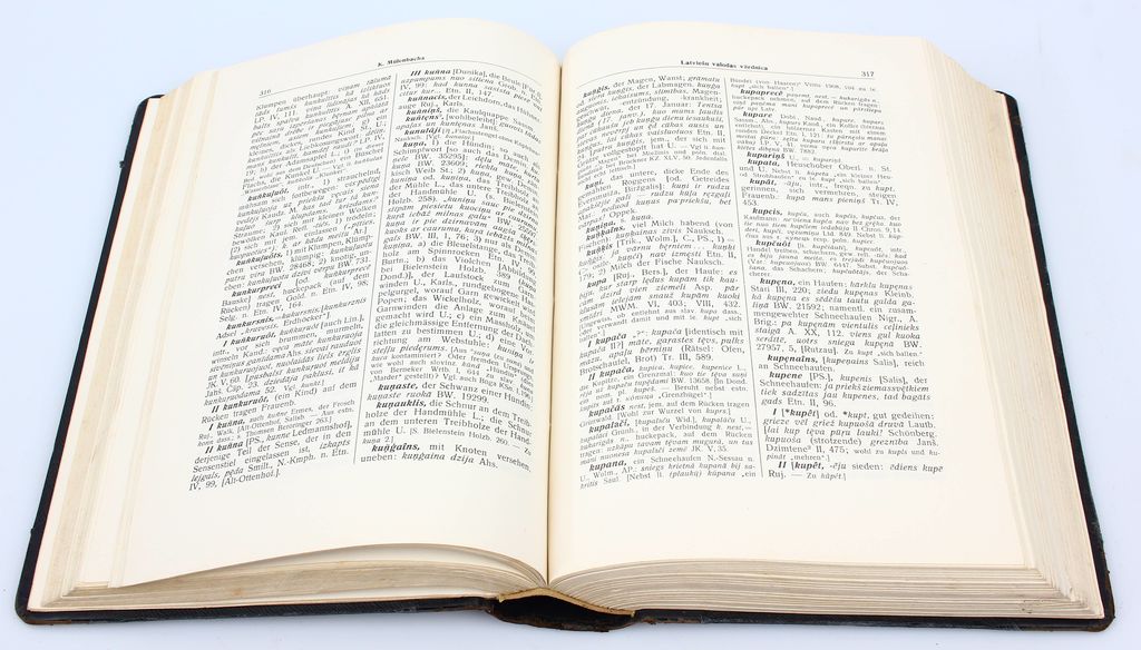 K. Mülenbacha(Kārļa Mīlenbaha) Latviešu valodas vārdnīca II sējums