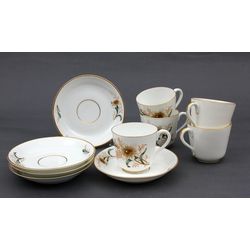 Porcelain cups with plates (5 pcs)