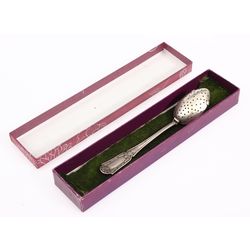 Silver spoon with tea strainer
