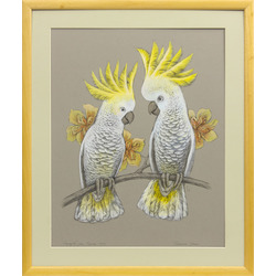A couple of parrots