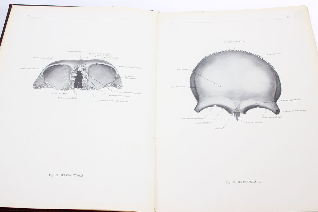 Анатомический атлас человеческого тела цена 3 volumes