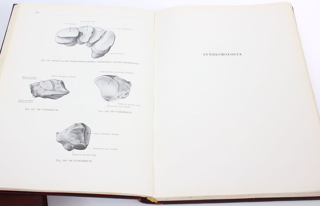 Анатомический атлас человеческого тела цена 3 тома