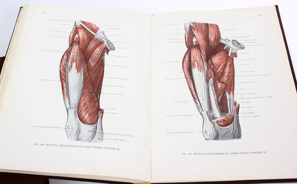 Анатомический атлас человеческого тела цена 3 тома