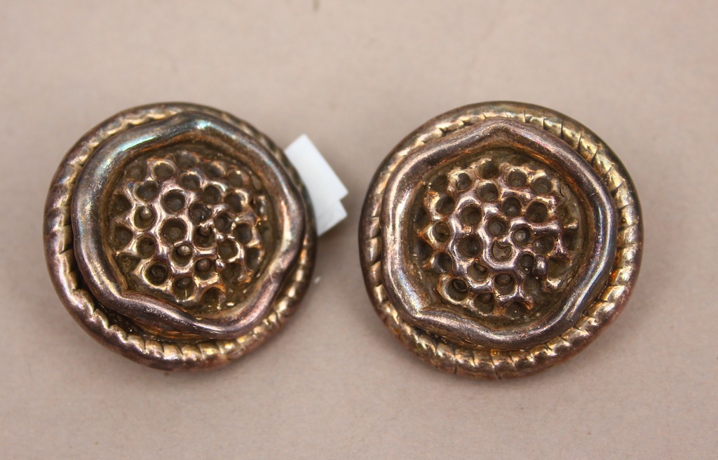 Silver earrings (clips)