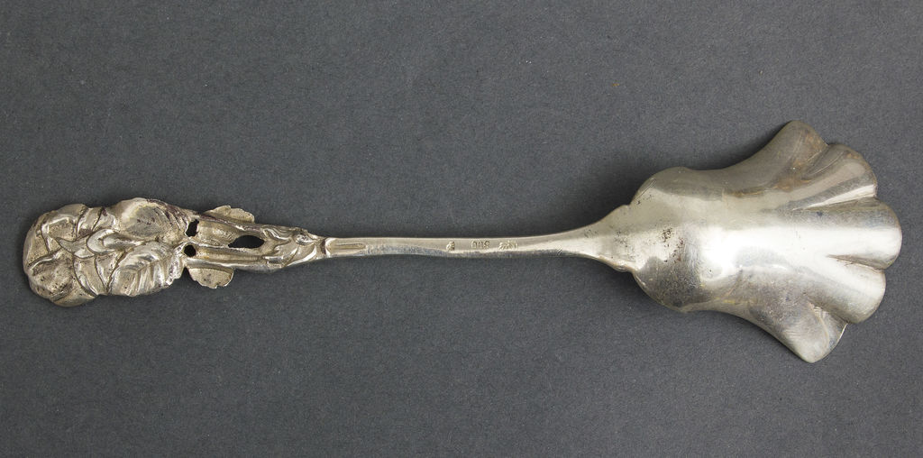Silver in a spoon
