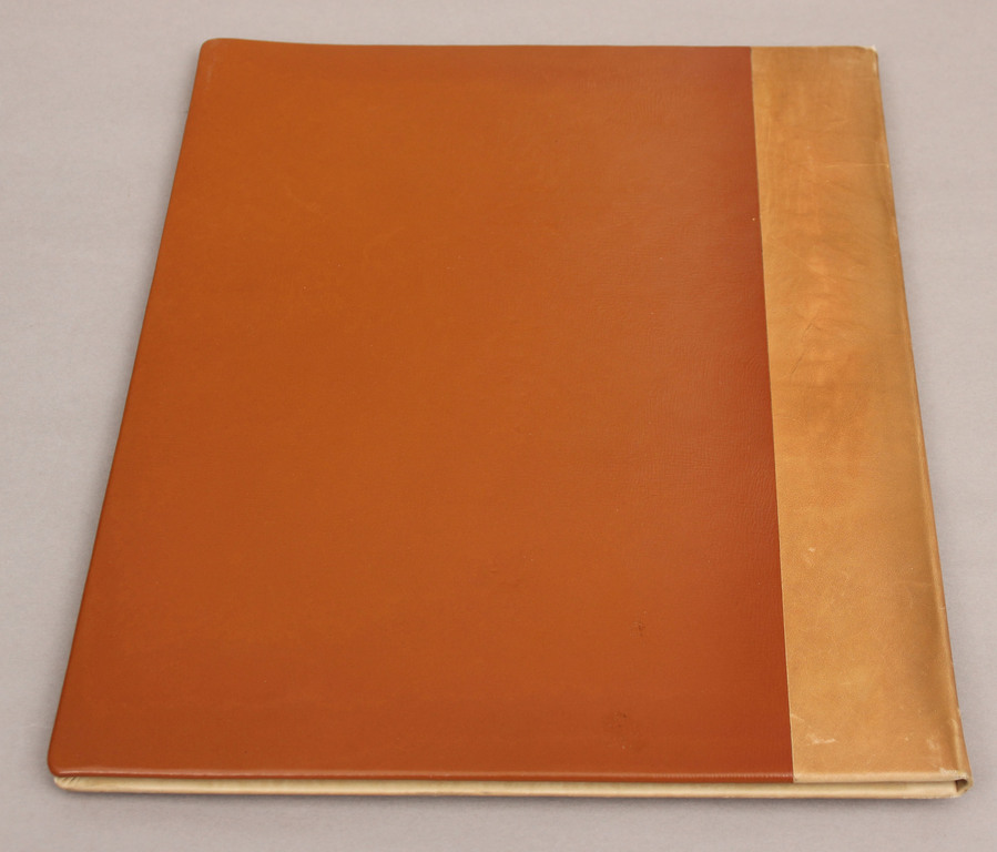 Leather document folder with amber