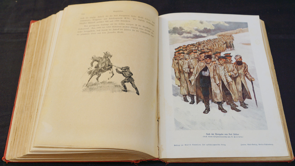 Граф Э. Зу Рвентлоу, Русско-японская война (3 книги)