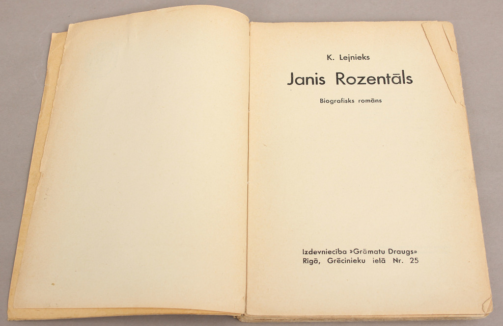 Kārlis Lejnieks, Janis Rozentāls (biographical novel)